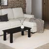 SANGRA-COFFEE TABLE-BLACK