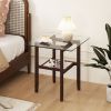 24 Inch 2-Tier Square Glass Coffee Table Center Table with Storage Shelf