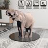 24" Inch Round Tempered Glass Table Top Black Glass 3/8Inch Thick Beveled Polished Edge