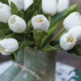 White Tulip Bundle