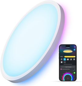 smart-ceiling-light-rgbic-led-ceiling-light-fixture