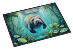 Manatee in a Crystal-Clear Spring Front Door Mat Indoor Outdoor Rugs for Entryway, Non Slip Washable Low Pile, 24H X 36W
