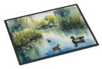 Ducks by the Pond Front Door Mat Indoor Outdoor Rugs for Entryway, Non Slip Washable Low Pile, 24H X 36W