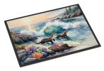 Coastal Wildlife Seals Front Door Mat Indoor Outdoor Rugs for Entryway, Non Slip Washable Low Pile, 24H X 36W