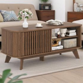 Rectangular Coffee Table with Storage and Adjustable Shelves