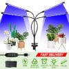 grow-lights-for-indoor-plants
