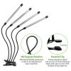 grow-lights-for-indoor-plants