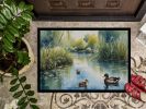 Ducks by the Pond Front Door Mat Indoor Outdoor Rugs for Entryway, Non Slip Washable Low Pile, 24H X 36W