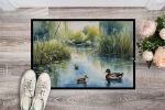 Ducks by the Pond Front Door Mat Indoor Outdoor Rugs for Entryway, Non Slip Washable Low Pile, 24H X 36W