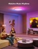 smart-ceiling-light-rgbic-led-ceiling-light-fixture