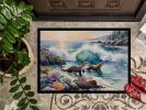 Coastal Wildlife Seals Front Door Mat Indoor Outdoor Rugs for Entryway, Non Slip Washable Low Pile, 24H X 36W