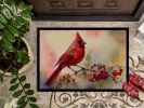 Cardinal Front Door Mat Indoor Outdoor Rugs for Entryway, Non Slip Washable Low Pile, 24H X 36W