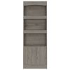 Simma Bookcase, Metal Hardware with Three Shelves and Double Door Cabinet in Light Gray