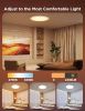 smart-ceiling-light-rgbic-led-ceiling-light-fixture