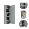 Leto Wall Mounted Shoe Rack With Mirror; Single Door; Capacity For Ten Shoes -White