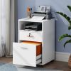 Rolling 2-Drawer Mobile File Cabinet Printer Stand Office Cart on Wheels