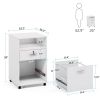 Rolling 2-Drawer Mobile File Cabinet Printer Stand Office Cart on Wheels